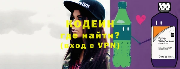 дмт Елизово
