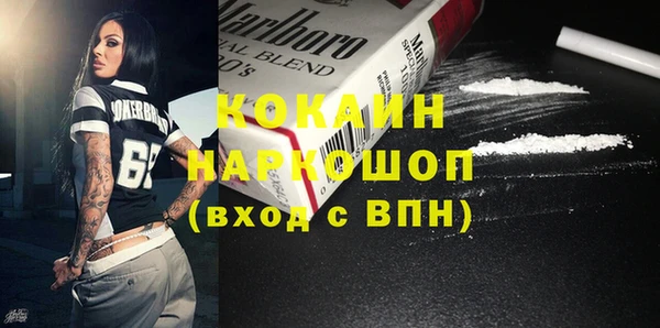 дмт Елизово