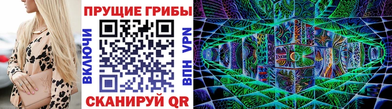 где найти Закаменск Псилоцибиновые грибы прущие грибы